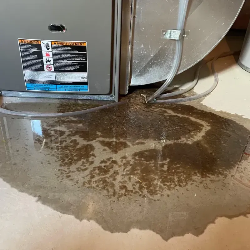 Appliance Leak Cleanup in Four Corners, FL